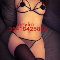 Bafra'da Eşsiz Partner Deneyimi: Göz Kamaştıran Escort Bayan